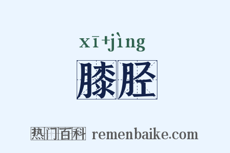 膝胫是什么意思的图片